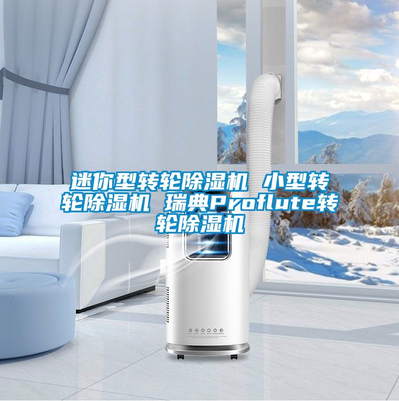 迷你型转轮粉色视频免费在线观看 小型转轮粉色视频免费在线观看 瑞典Proflute转轮粉色视频免费在线观看