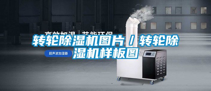 转轮粉色视频免费在线观看图片／转轮粉色视频免费在线观看样板图
