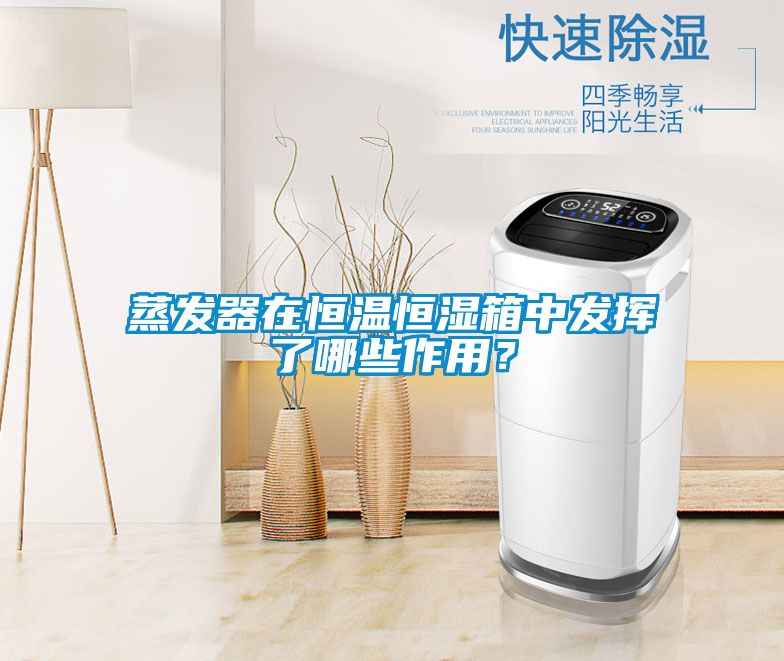 蒸发器在恒温恒湿箱中发挥了哪些作用？