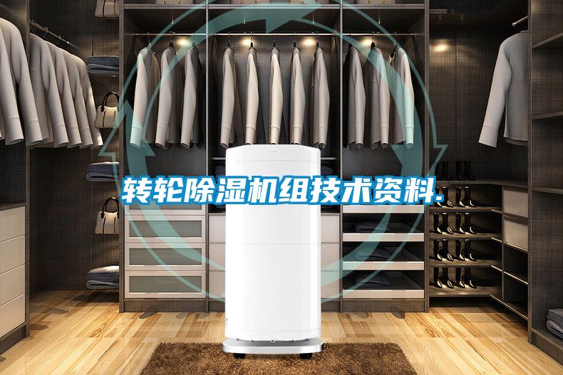 转轮粉色视频免费在线观看组技术资料.