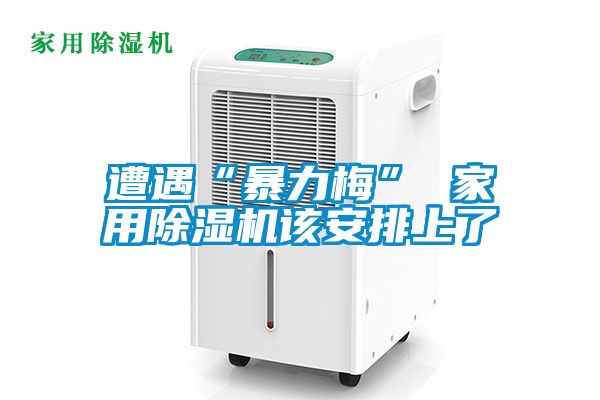 遭遇“暴力梅” 家用粉色视频免费在线观看该安排上了