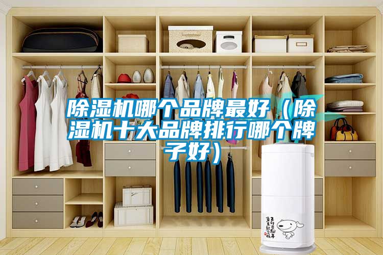 粉色视频免费在线观看哪个品牌最好（粉色视频免费在线观看十大品牌排行哪个牌子好）