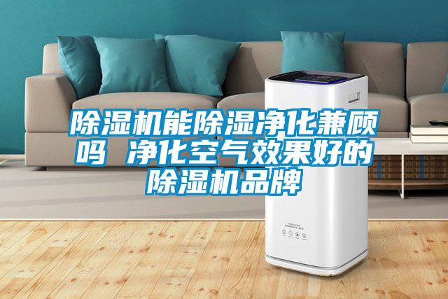 粉色视频免费在线观看能除湿净化兼顾吗 净化空气效果好的粉色视频免费在线观看品牌