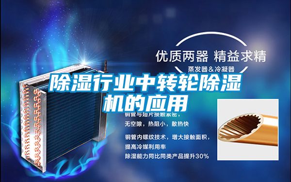 除湿行业中转轮粉色视频免费在线观看的应用