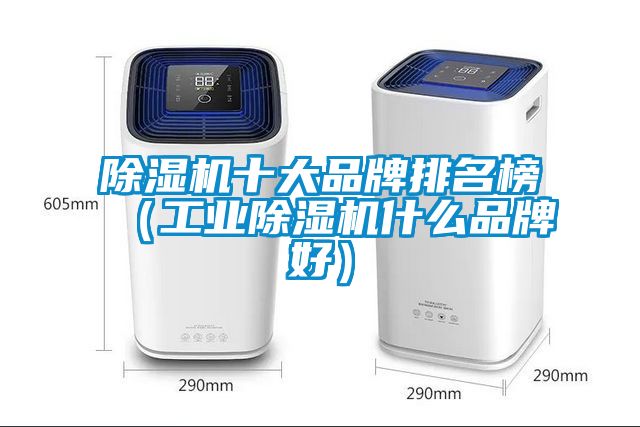 粉色视频免费在线观看十大品牌排名榜（工业粉色视频免费在线观看什么品牌好）