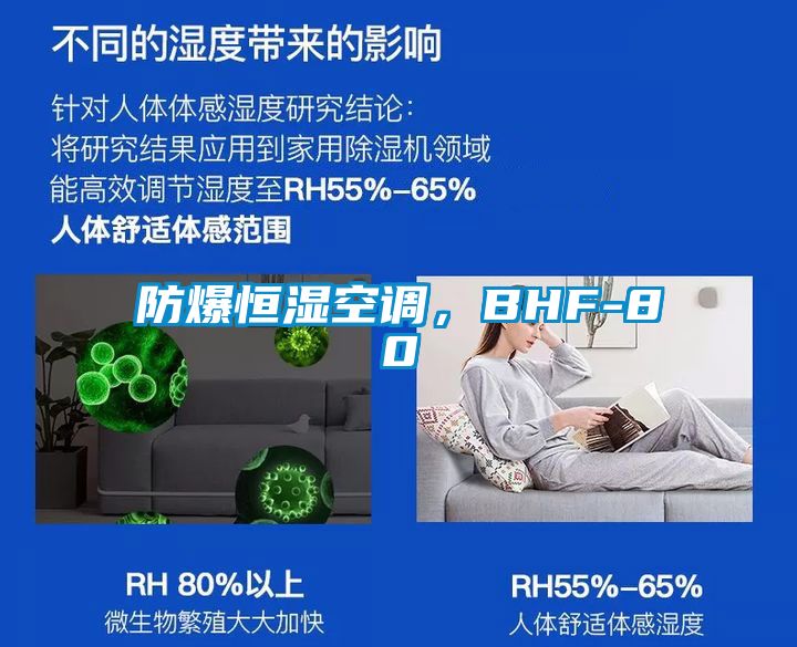 防爆恒湿空调，BHF-80