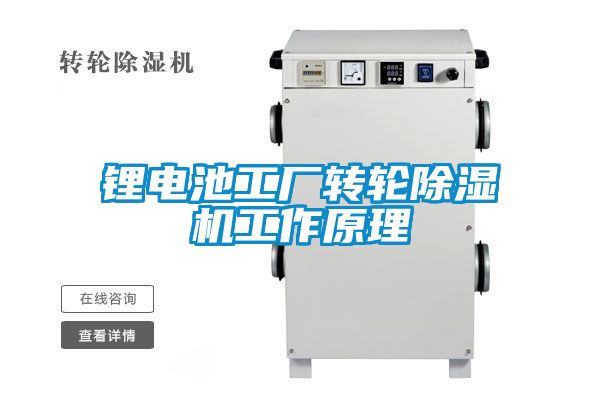 锂电池工厂转轮粉色视频免费在线观看工作原理