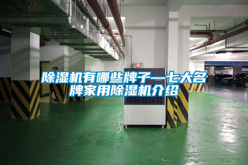 粉色视频免费在线观看有哪些牌子—七大名牌家用粉色视频免费在线观看介绍
