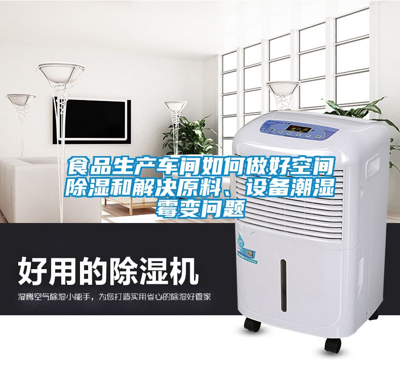 食品生产车间如何做好空间除湿和解决原料、设备潮湿霉变问题