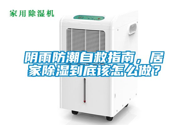 阴雨防潮自救指南，居家除湿到底该怎么做？