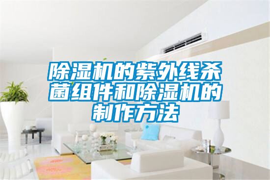 粉色视频免费在线观看的紫外线杀菌组件和粉色视频免费在线观看的制作方法