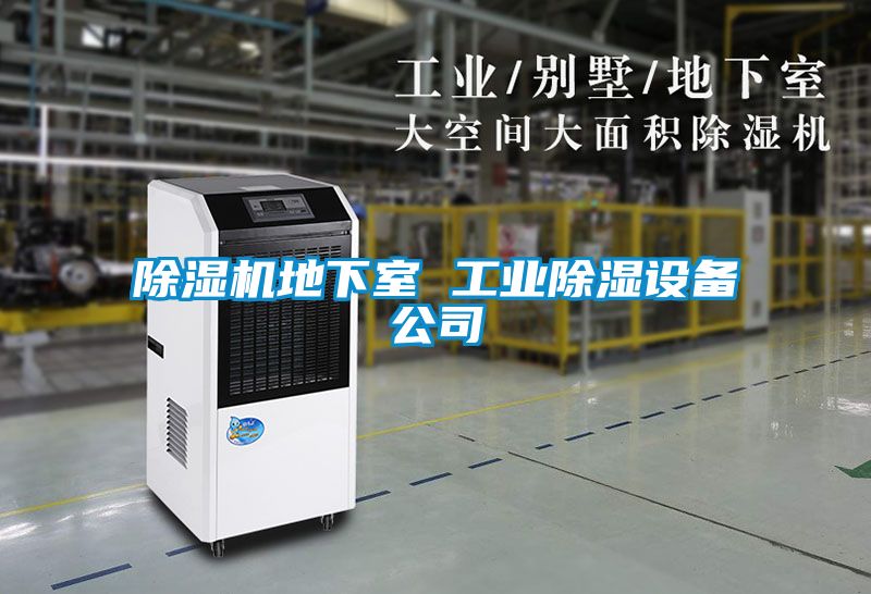 粉色视频免费在线观看地下室 工业除湿设备公司