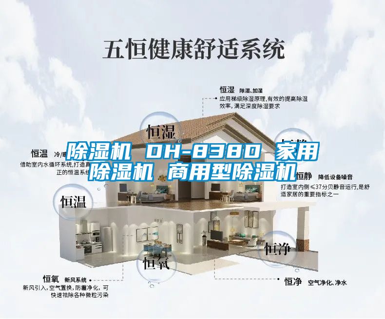 粉色视频免费在线观看 DH-838D 家用粉色视频免费在线观看 商用型粉色视频免费在线观看