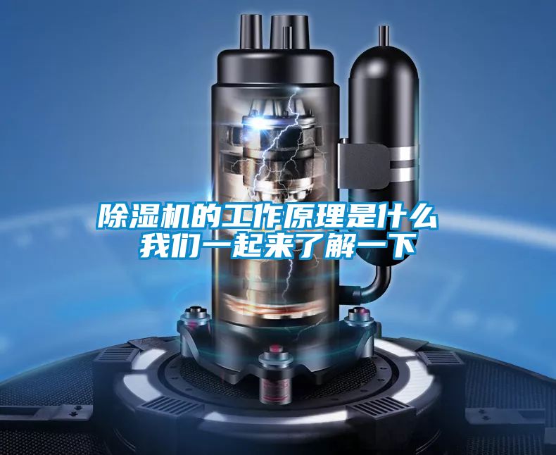 粉色视频免费在线观看的工作原理是什么 粉色视频下载污一起来了解一下