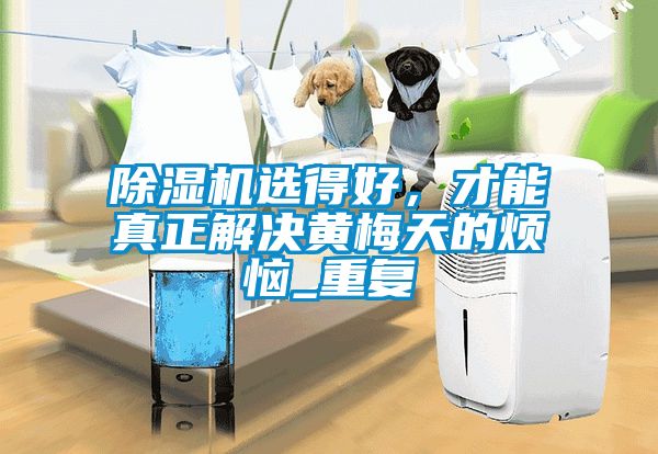 粉色视频免费在线观看选得好，才能真正解决黄梅天的烦恼_重复