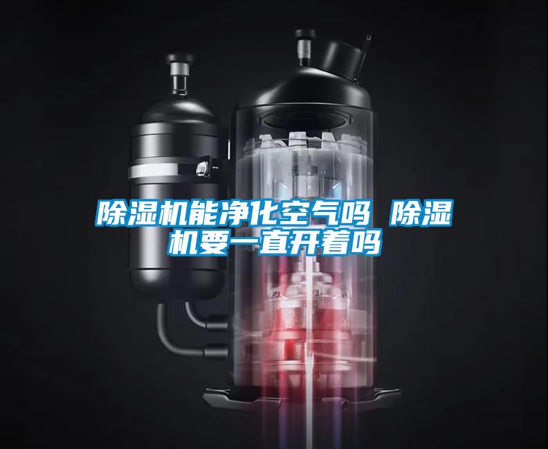 粉色视频免费在线观看能净化空气吗 粉色视频免费在线观看要一直开着吗