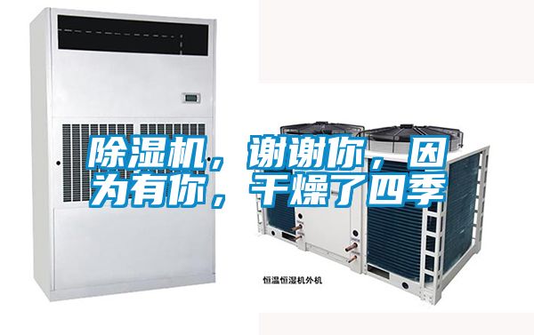 粉色视频免费在线观看，谢谢你，因为有你，干燥了四季
