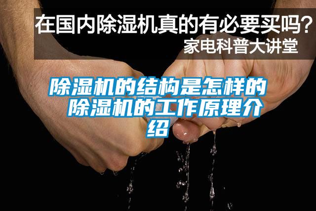 粉色视频免费在线观看的结构是怎样的 粉色视频免费在线观看的工作原理介绍