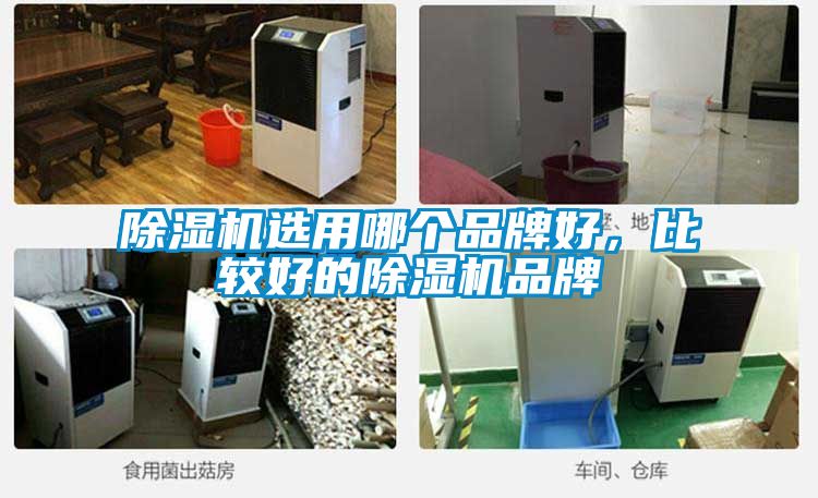 粉色视频免费在线观看选用哪个品牌好，比较好的粉色视频免费在线观看品牌