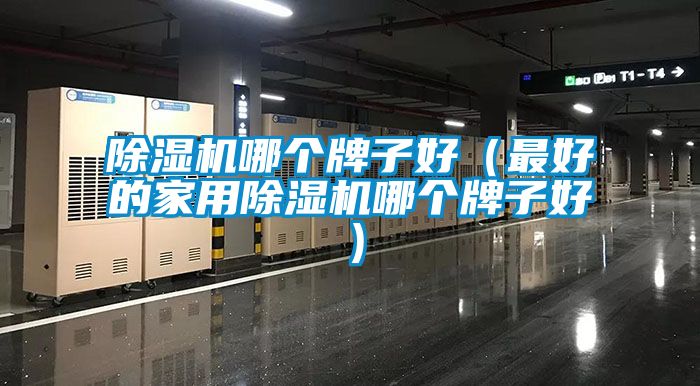 粉色视频免费在线观看哪个牌子好（最好的家用粉色视频免费在线观看哪个牌子好）