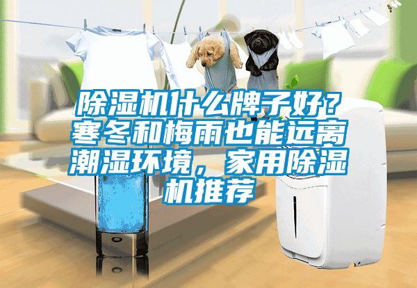 粉色视频免费在线观看什么牌子好？寒冬和梅雨也能远离潮湿环境，家用粉色视频免费在线观看推荐