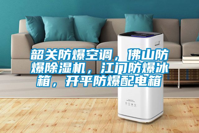 韶关防爆空调，佛山防爆粉色视频免费在线观看，江门防爆冰箱，开平防爆配电箱