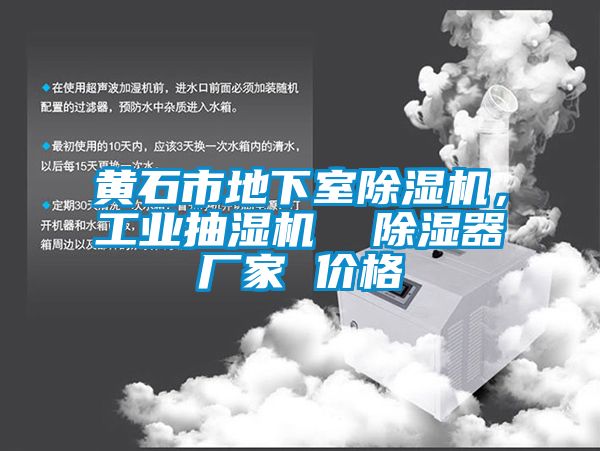 黄石市地下室粉色视频免费在线观看，工业抽湿机  除湿器厂家 价格