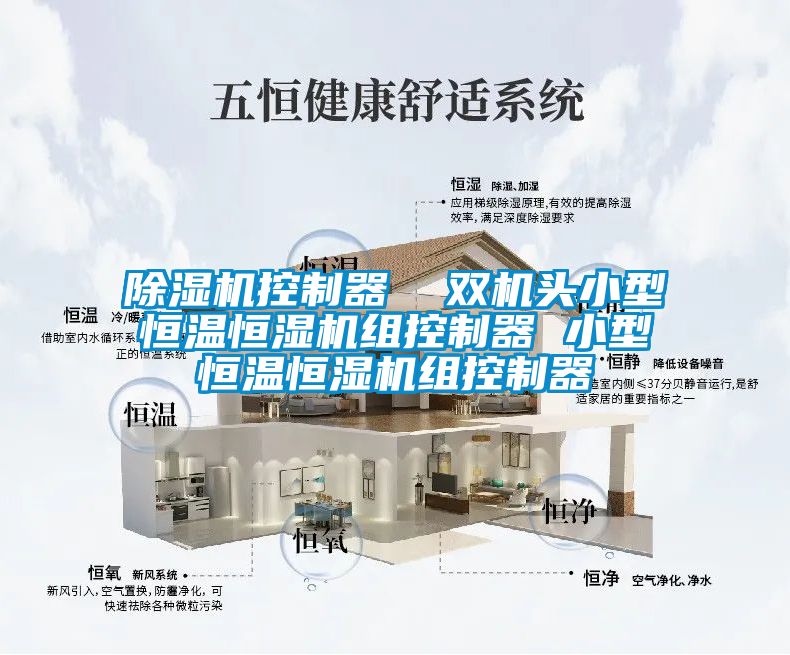 粉色视频免费在线观看控制器  双机头小型恒温恒湿机组控制器 小型恒温恒湿机组控制器