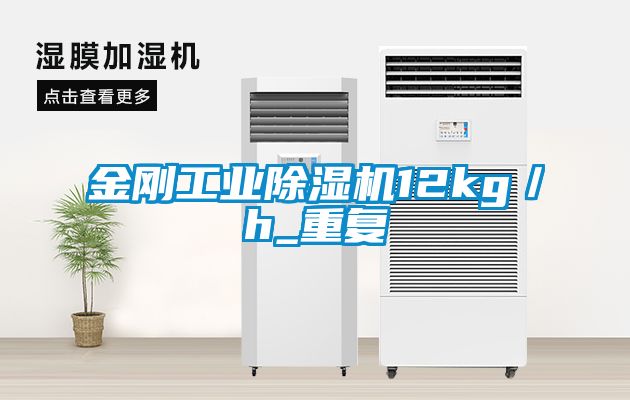 金刚工业粉色视频免费在线观看12kg／h_重复