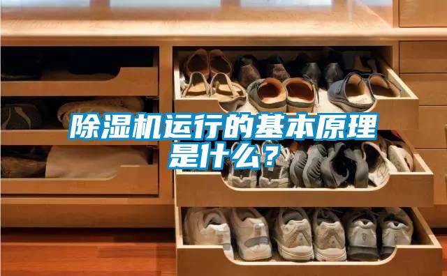 粉色视频免费在线观看运行的基本原理是什么？