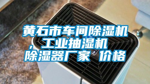 黄石市车间粉色视频免费在线观看，工业抽湿机  除湿器厂家 价格