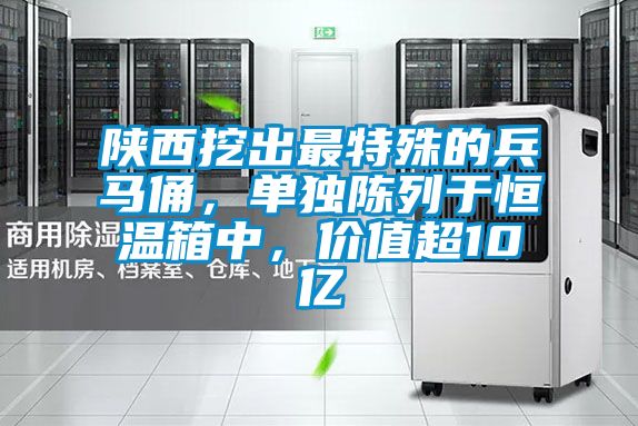 陕西挖出最特殊的兵马俑，单独陈列于恒温箱中，价值超10亿