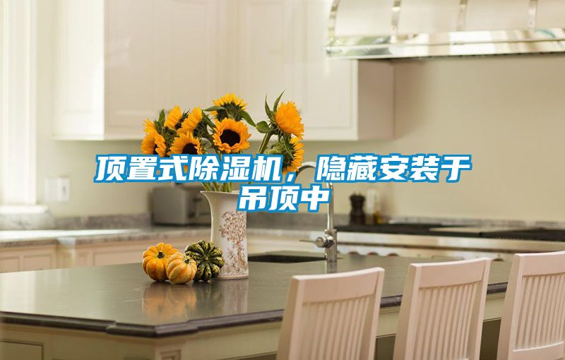 顶置式粉色视频免费在线观看，隐藏安装于吊顶中