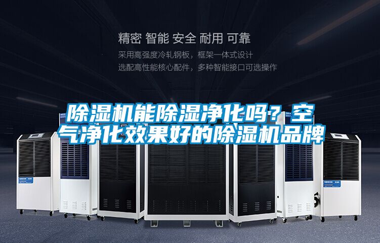 粉色视频免费在线观看能除湿净化吗？空气净化效果好的粉色视频免费在线观看品牌