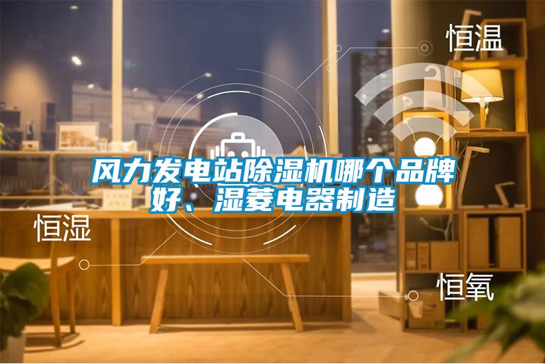 风力发电站粉色视频免费在线观看哪个品牌好、湿菱电器制造