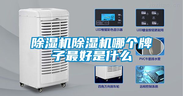 粉色视频免费在线观看粉色视频免费在线观看哪个牌子最好是什么