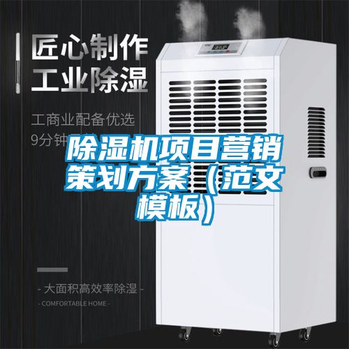 粉色视频免费在线观看项目营销策划方案（范文模板）
