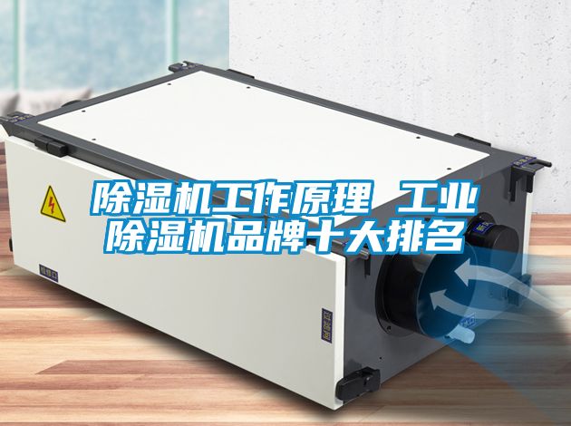 粉色视频免费在线观看工作原理 工业粉色视频免费在线观看品牌十大排名