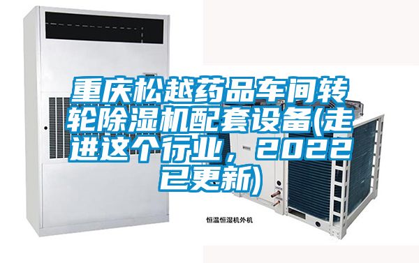 重庆松越药品车间转轮粉色视频免费在线观看配套设备(走进这个行业，2022已更新)