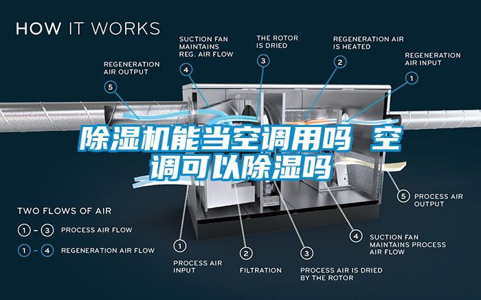 粉色视频免费在线观看能当空调用吗 空调可以除湿吗