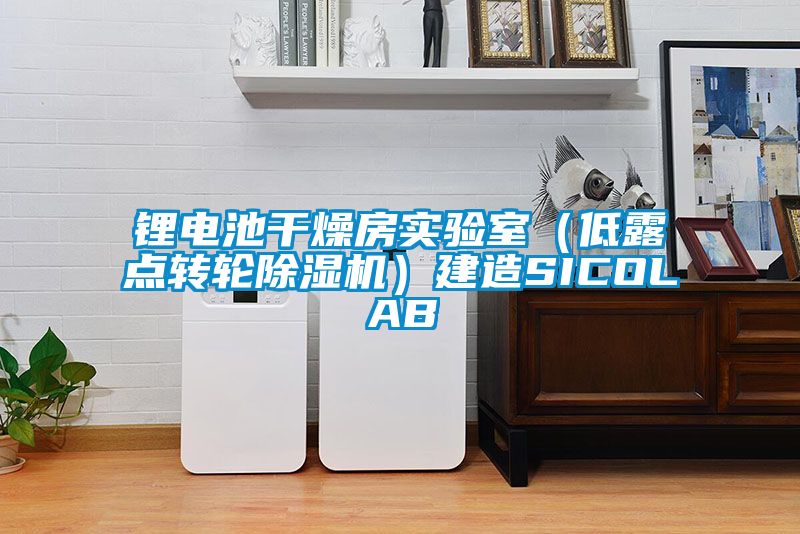 锂电池干燥房实验室（低露点转轮粉色视频免费在线观看）建造SICOLAB