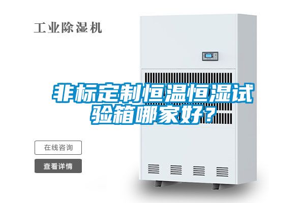 非标定制恒温恒湿试验箱哪家好？