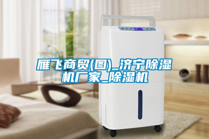 雁飞商贸(图)_济宁粉色视频免费在线观看厂家_粉色视频免费在线观看