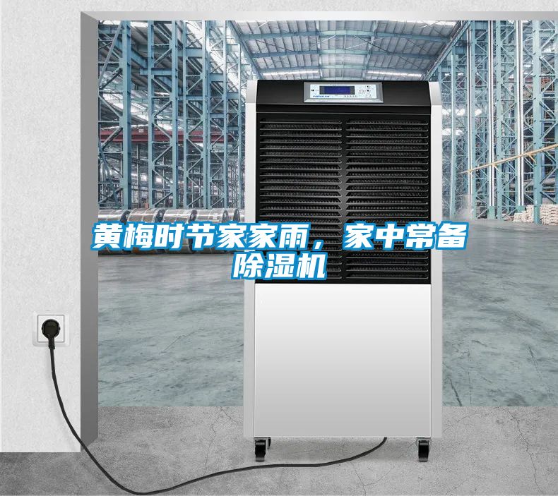 黄梅时节家家雨，家中常备粉色视频免费在线观看