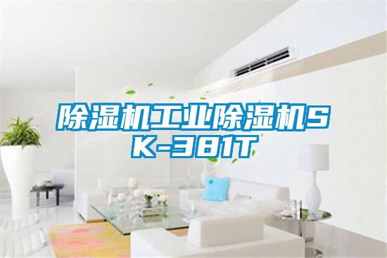 粉色视频免费在线观看工业粉色视频免费在线观看SK-381T
