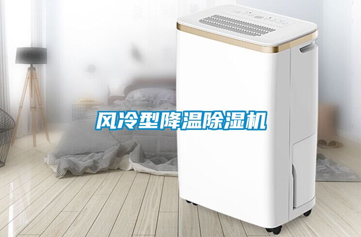 风冷型降温粉色视频免费在线观看