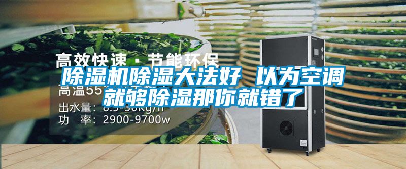 粉色视频免费在线观看除湿大法好 以为空调就够除湿那你就错了