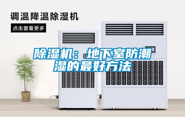粉色视频免费在线观看：地下室防潮湿的最好方法