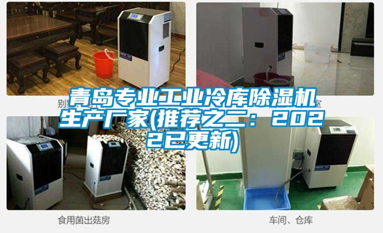 青岛专业工业冷库粉色视频免费在线观看生产厂家(推荐之二：2022已更新)