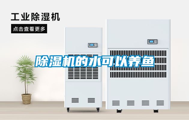 粉色视频免费在线观看的水可以养鱼